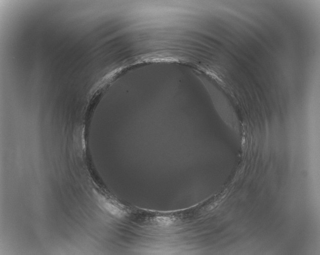 X0000066120302200603241617