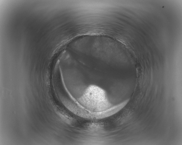 X0000066120303200603241617