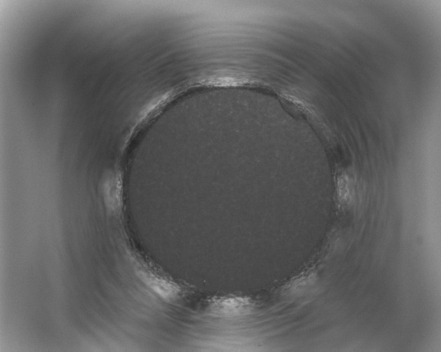 X0000066120304200603241617