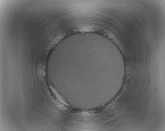 X0000066120305200603241617