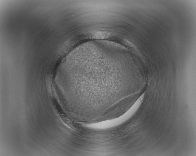 X0000066120307200603241617