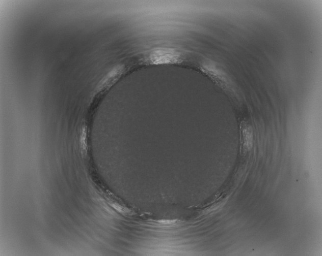 X0000066120308200603241617