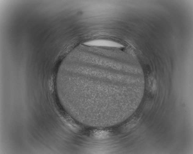 X0000066120311200603241617