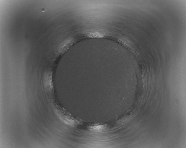 X0000066120312200603241617