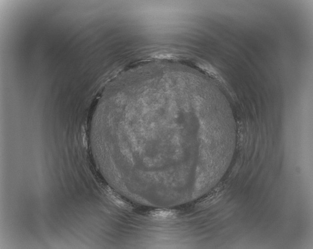 X0000066120313200603241617