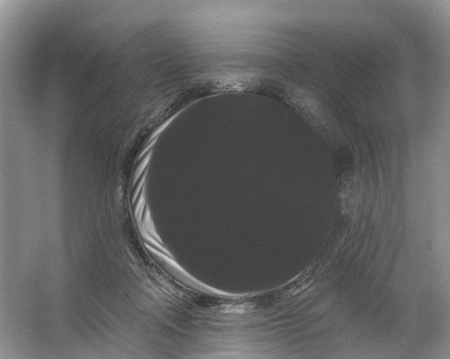 X0000066120314200603241617