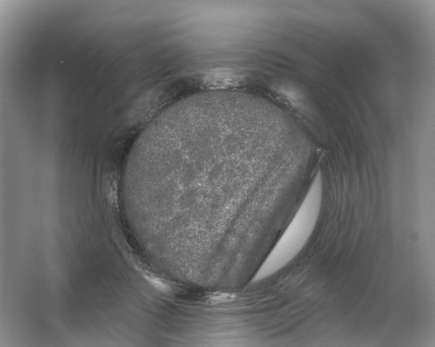 X0000066120315200603241617