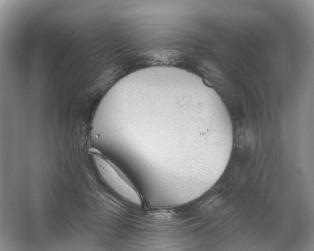 X0000066120318200603241617