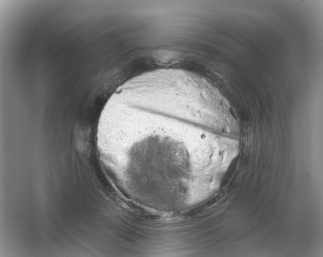 X0000066120319200603241617