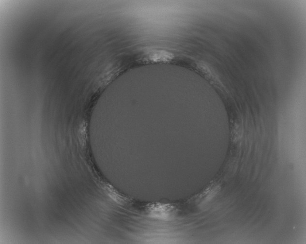 X0000066120321200603241617