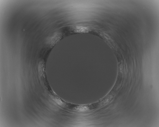 X0000066120322200603241617