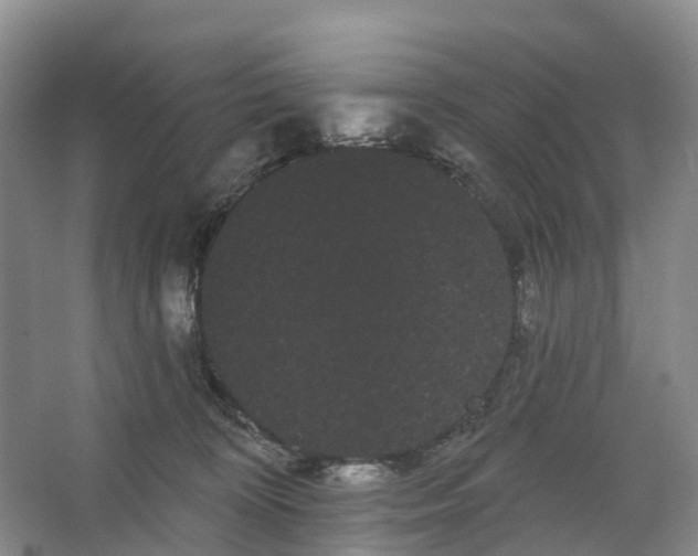 X0000066120324200603241617