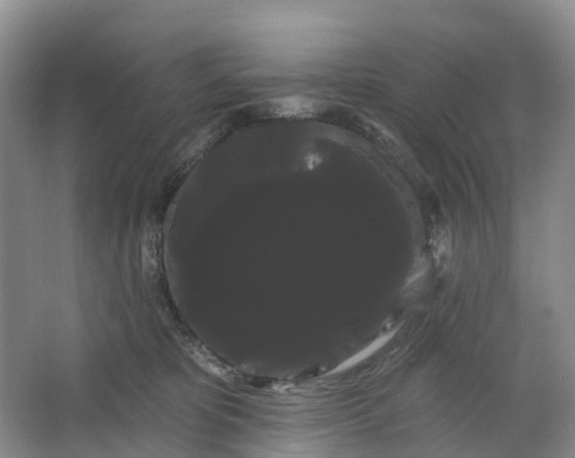 X0000066120325200603241617