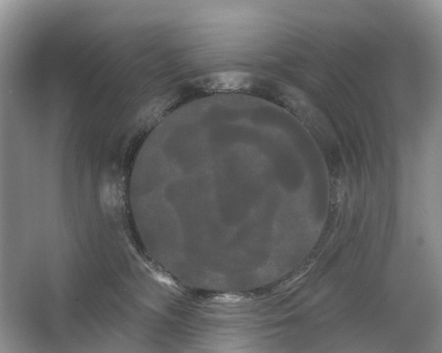 X0000066120326200603241617