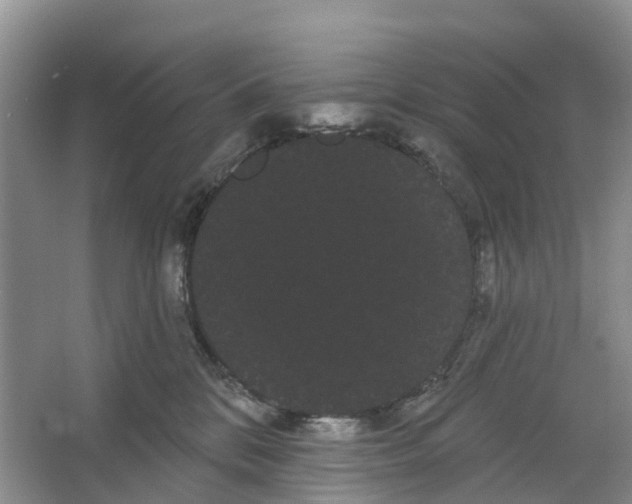 X0000066120328200603241617