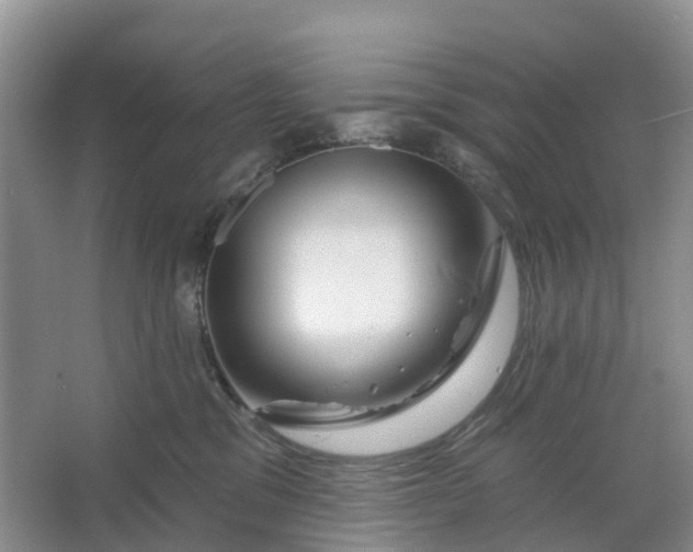 X0000066120329200603241617