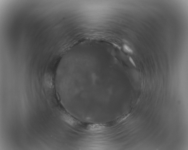 X0000066120331200603241617