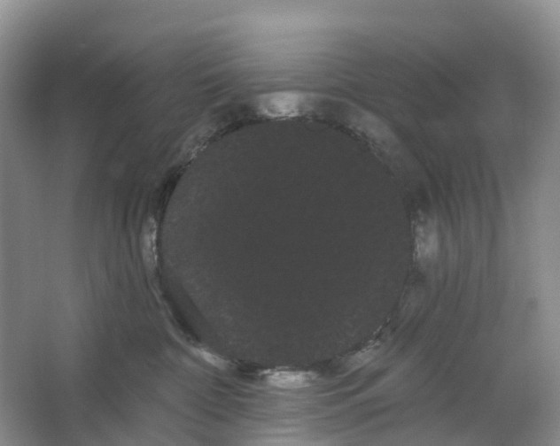 X0000066120332200603241617