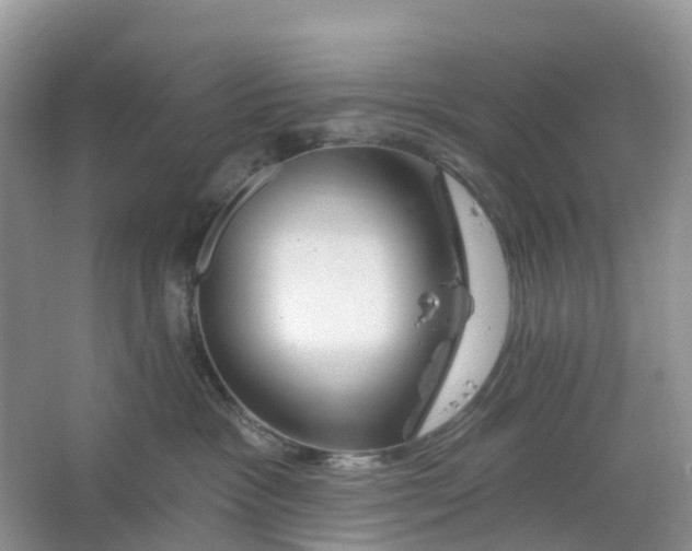 X0000066120333200603241616