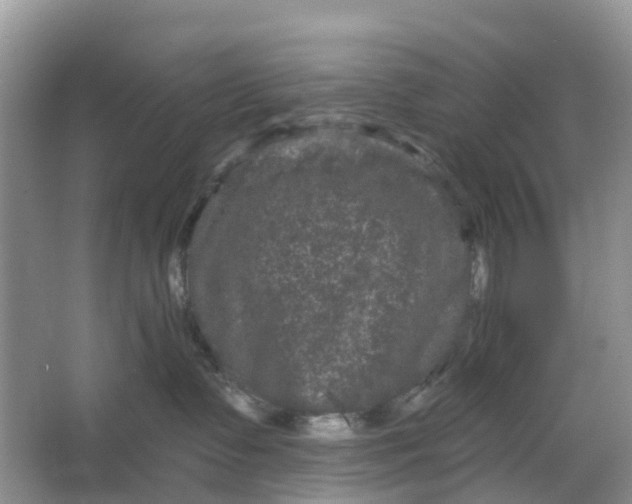 X0000066120335200603241616