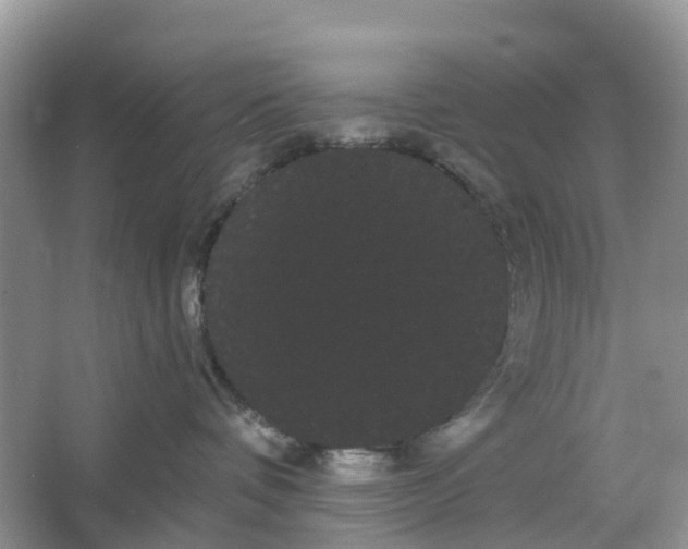 X0000066120336200603241616