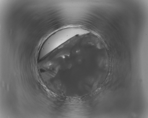 X0000066120337200603241616