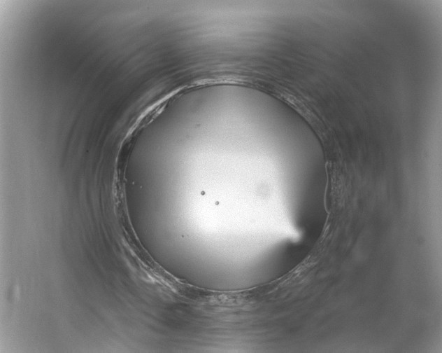 X0000066120338200603241616