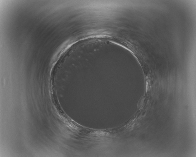 X0000066120339200603241616