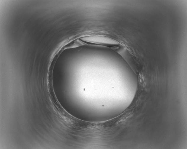 X0000066120340200603241616