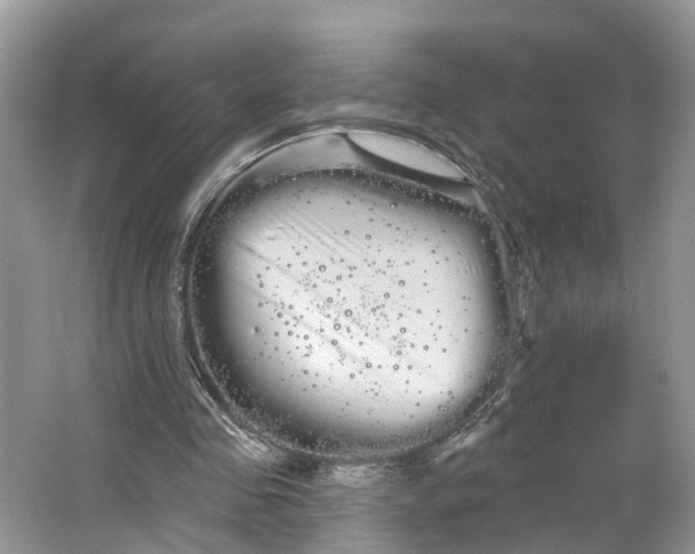 X0000066120341200603241616