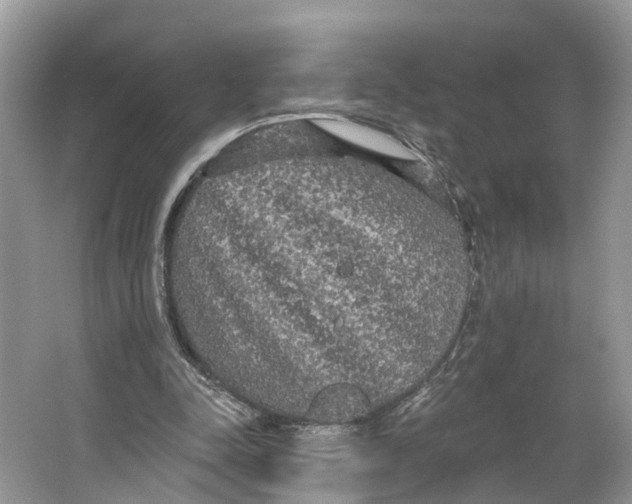 X0000066120342200603241616