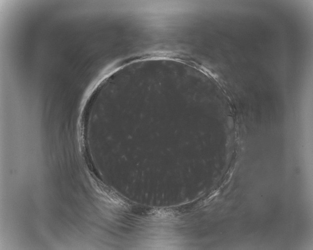 X0000066120343200603241616