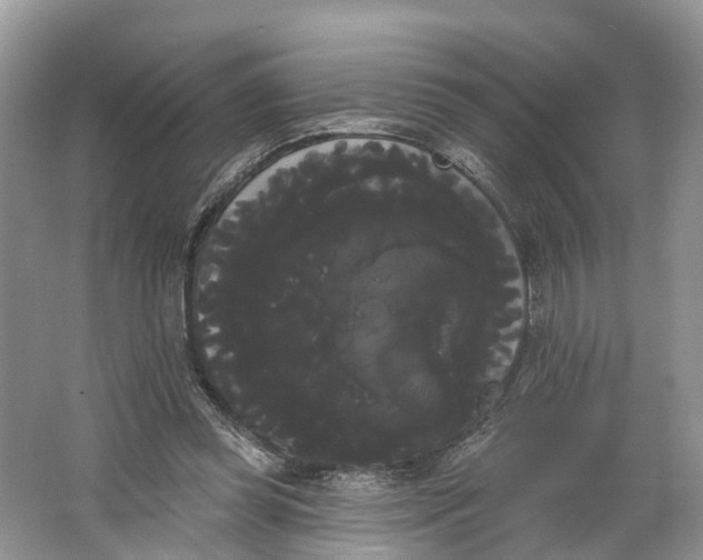 X0000066120349200603241616