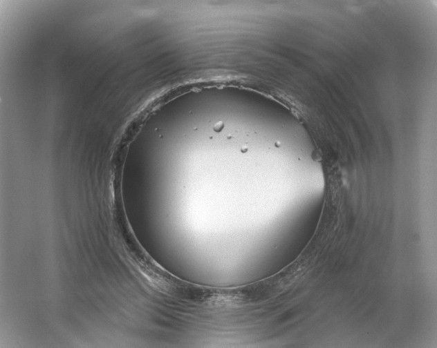 X0000066120350200603241616