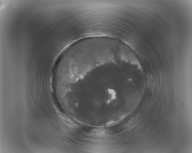 X0000066120351200603241616