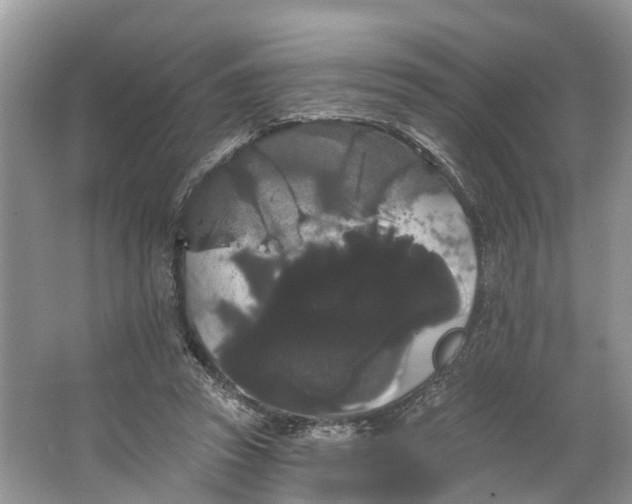 X0000066120353200603241616