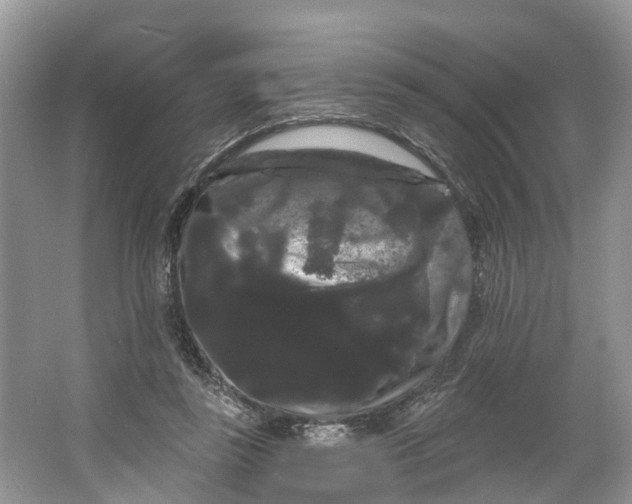 X0000066120355200603241616