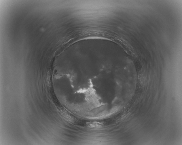 X0000066120359200603241616