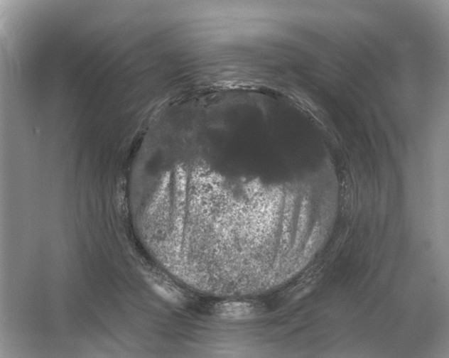 X0000066120361200603241616