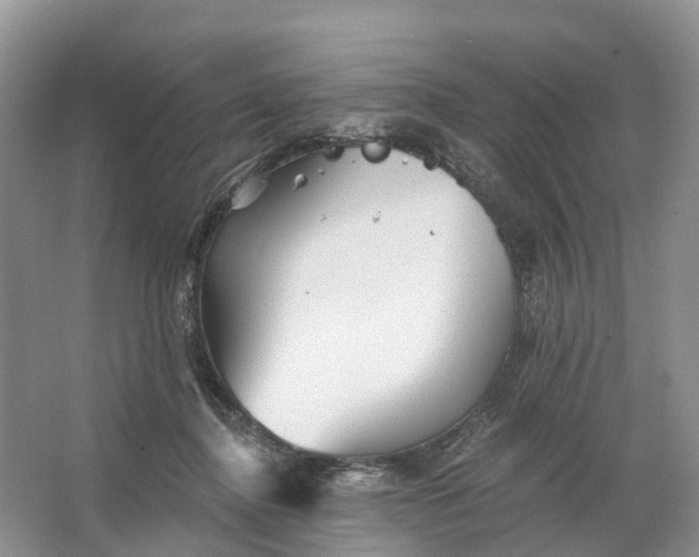 X0000066120364200603241616