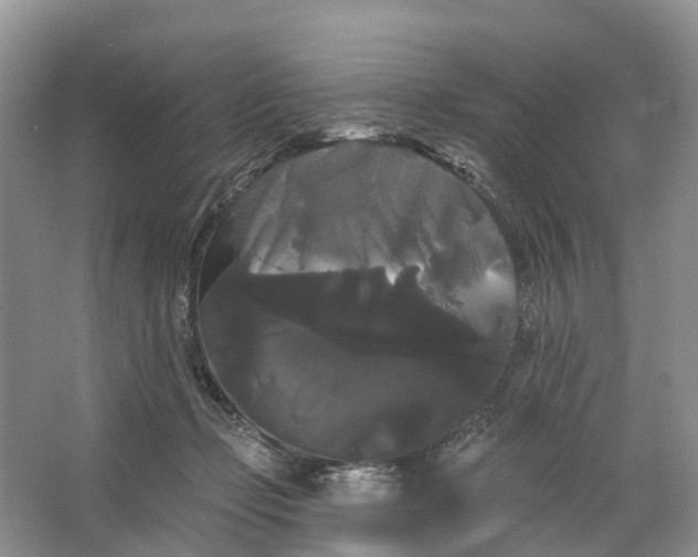 X0000066120365200603241616