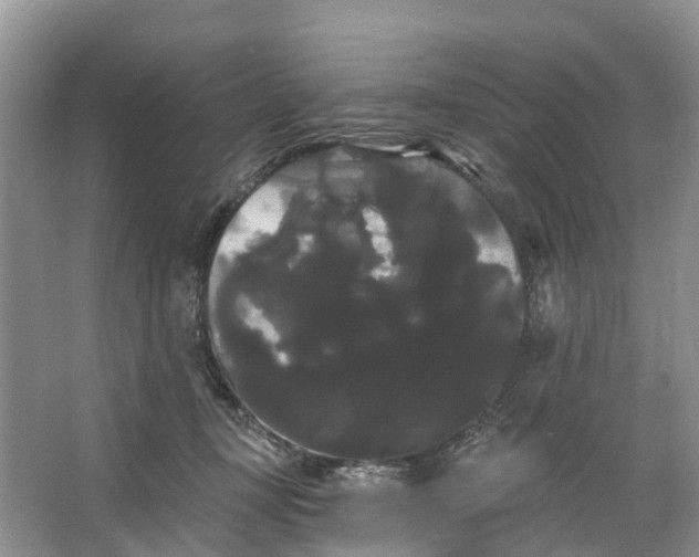 X0000066120367200603241616