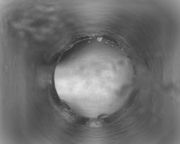 X0000066120368200603241616