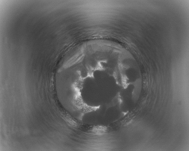 X0000066120369200603241616