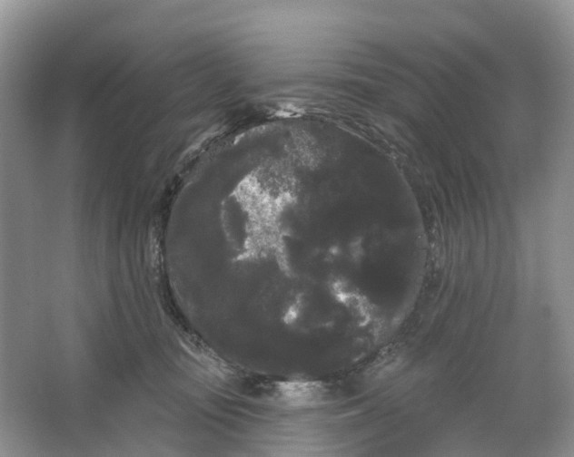 X0000066120371200603241616