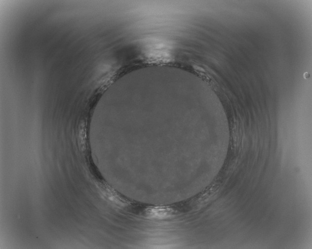 X0000066120372200603241616