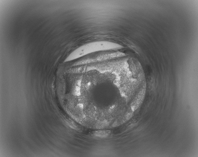 X0000066120373200603241616