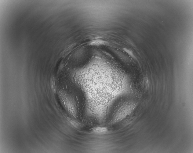 X0000066120374200603241616