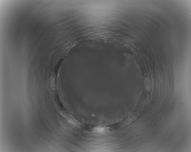 X0000066120375200603241616