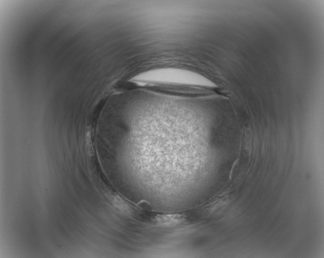 X0000066120378200603241616